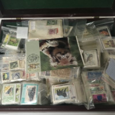 A large quantity of world stamps in albums and loose stamps (a lot). NO RESERVE