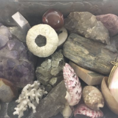 A collection of sea shells and stones including an Amethyst crystal. This lot cannot be posted