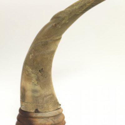 An animal horn with a carved scrimshaw dragon design mounted on a wooden base. 28.5cm tall. Postage category C