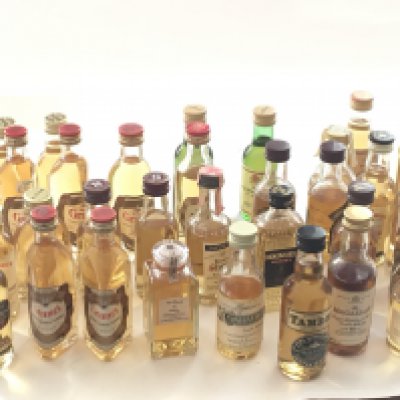 A good collection of miniature Whisky including a bottle of The Blend of Nikka Macallan Tamdhu Glengoyne Grants Bells Glenmorangie and many others most with good levels. (a lot)