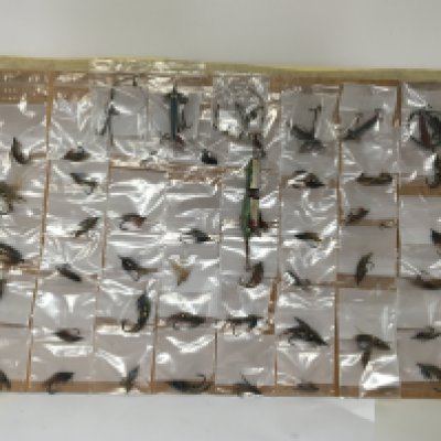 A collection of Antique fly fishing flies and painted wood fishing lures presumed for pike fishing. All well presented on a board.