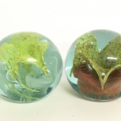 Two glass Mdina style paperweights. This lot cannot be posted