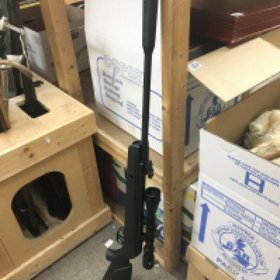 A Gamo Whisper Sting .22 air rifle with a NikkoStiling 3-9x40 Mountmaster scope. With carry bag and some pellets . This lot cannot be posted