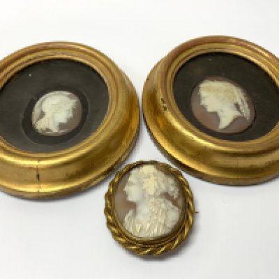 2 Victorian Gilt framed carved shell cameos, gilt mounted shell cameo brooch. (B) NO RESERVE