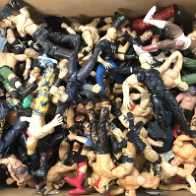 A Box Containing Loose WWE Figures. No Reserve.