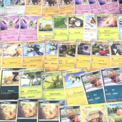 A Collection Of over 600 Pokemon Cards In Collectors Box. Including Holographic. Vintage. Evolving Skies.