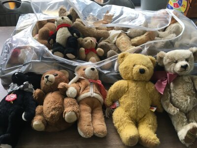 A collection in excess of 15 assorted size teddy bears by numerous manufactures and vintages including Herman..Chad Valley..Clemens and others.   No reserve