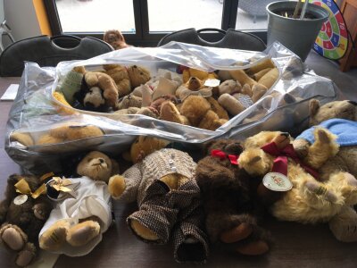 A collection in excess of 17 plush teddy bears of varying ages , some growlers, including manufacturers such as Merry Thought, Steiff, Deans etc..  no reserve