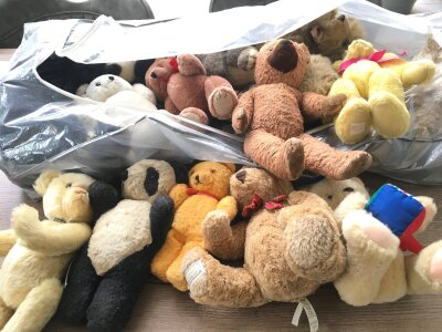 A collection in excess of 12 plush teddy bears of varying age by manufacturers including Chad Valley, Jay Bee, Elizabeth Thompson etc.  no reserve