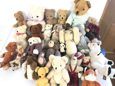 A Collection of assorted teddies.
No Reserve.