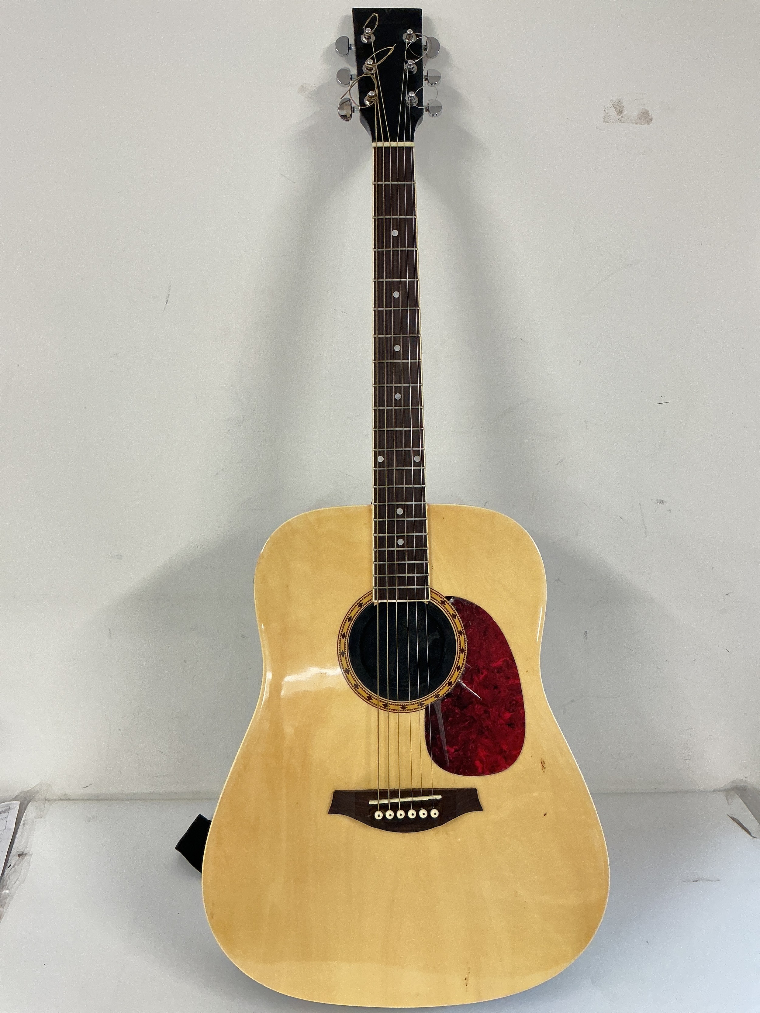 An Artist acoustic guitar fitted with a feedback muffler and comes with a soft carry case.