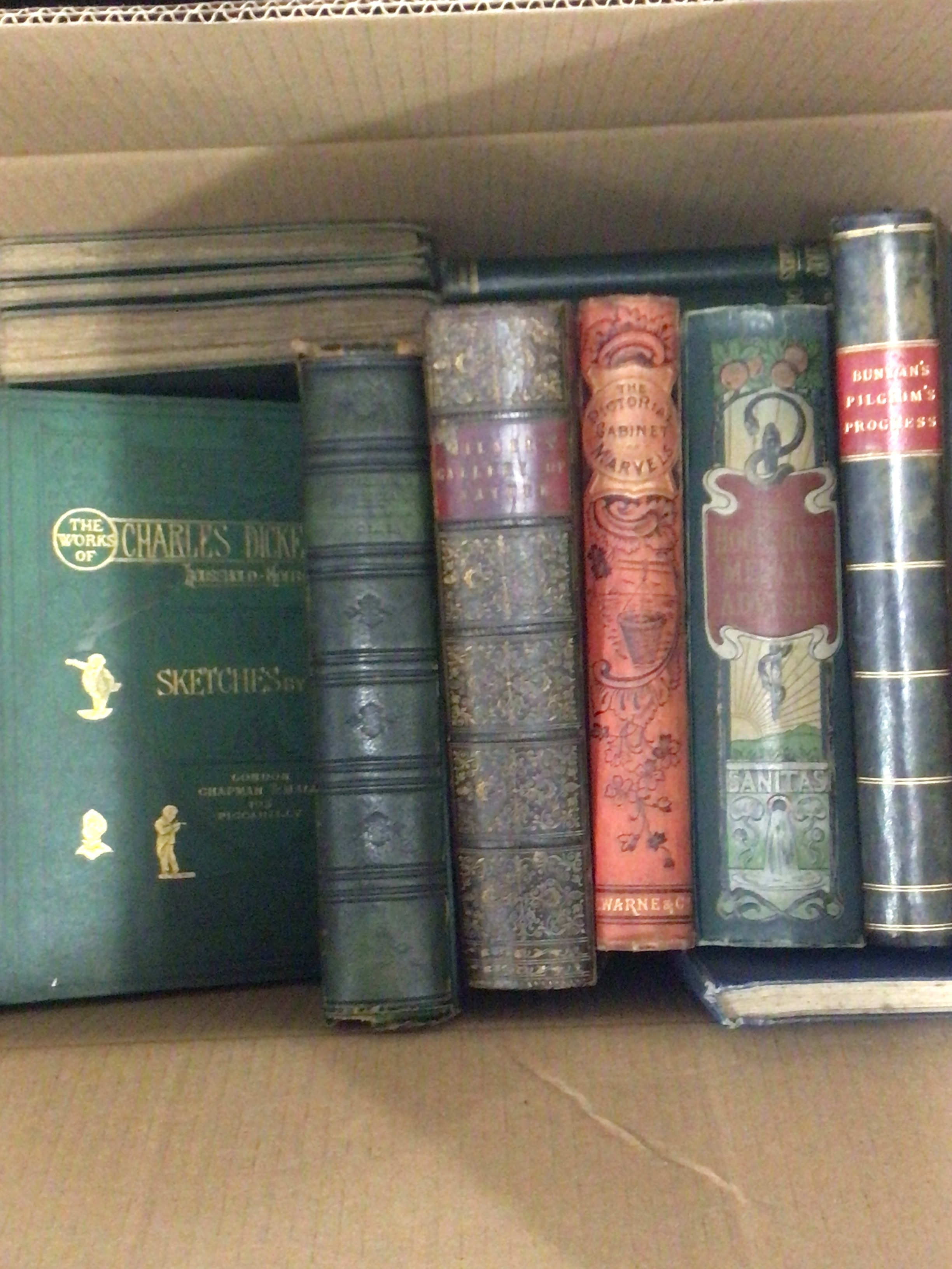  A box containing antique books The Hose Hold Medical Adviser Charles Dickens Household Edition leather bound, Milner's  gallery of nature and others 