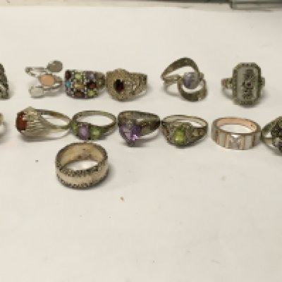A collection of fourteen silver dress rings.