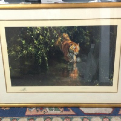 A large framed David Shepard print titled Burning Bright , dimensions 100x75cm. This lot cannot be posted