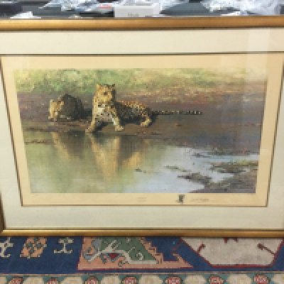 A large framed David Shepard print titled Cool Waters, dimensions 102x75cm. This lot cannot be posted