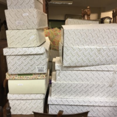 A large collection of boxed Alberon collectors dolls. NO RESERVE