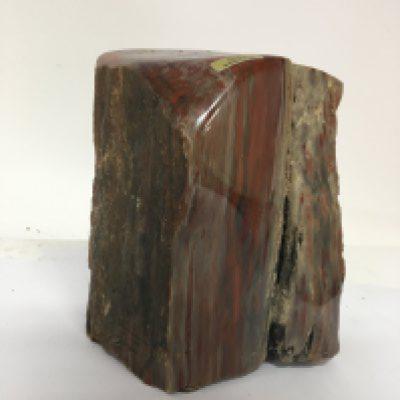A large section of Natural History Arizona Petrified Rainbow Wood. Hight 22cm