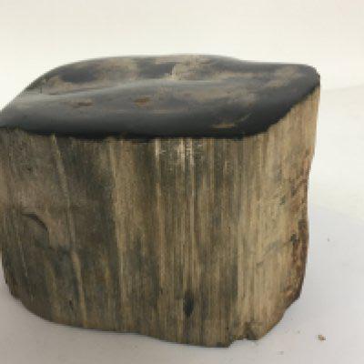 A black listed Natural History sample of ancient Arizona Petrified wood black height 12x15cm