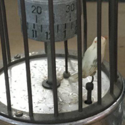 A chrome clock in the form of a bird cage on stand.