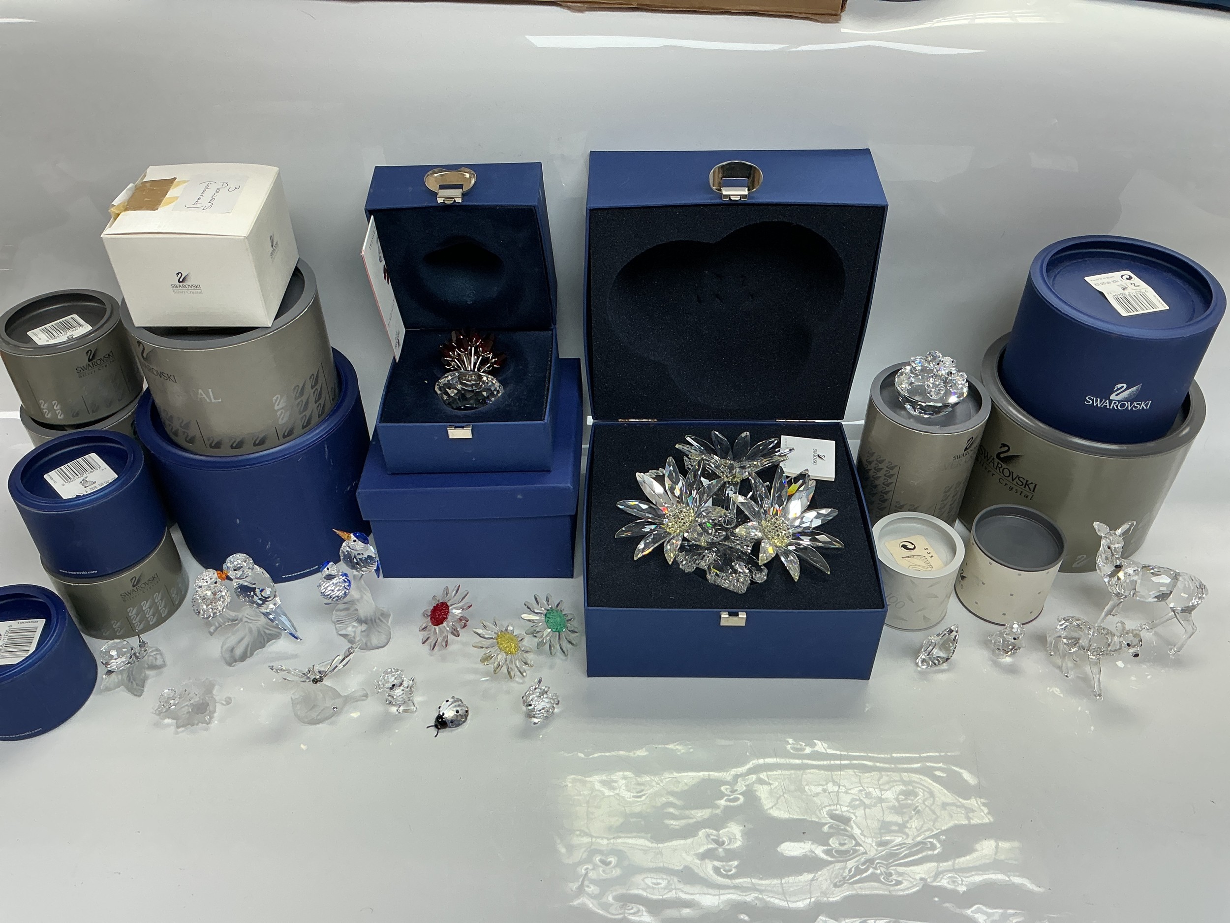 A collection of boxed Swarovski items comprising animals and flowers.