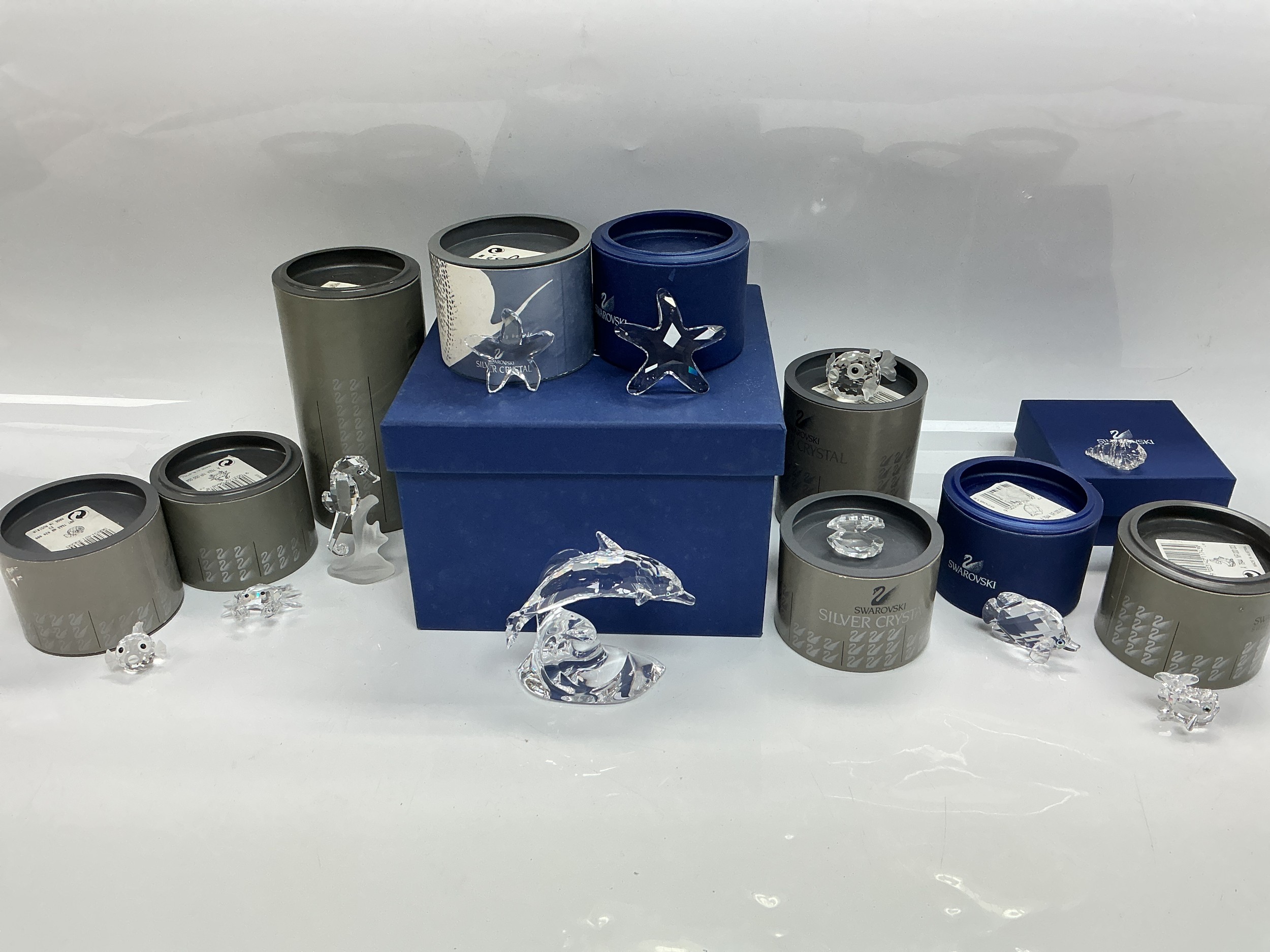 A collection of boxed Swarovski figures of fish and other sea creatures.