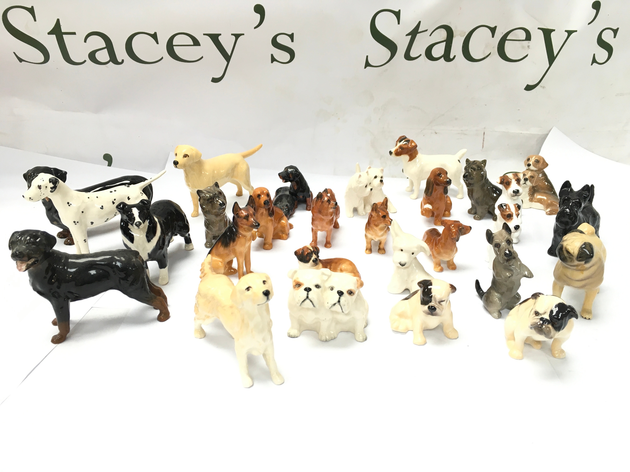 vintage ceramic and porcelain dog figurines, predominantly Beswick small dog models such as Dalmatians, Labradors, Poodles, and Spaniels etc