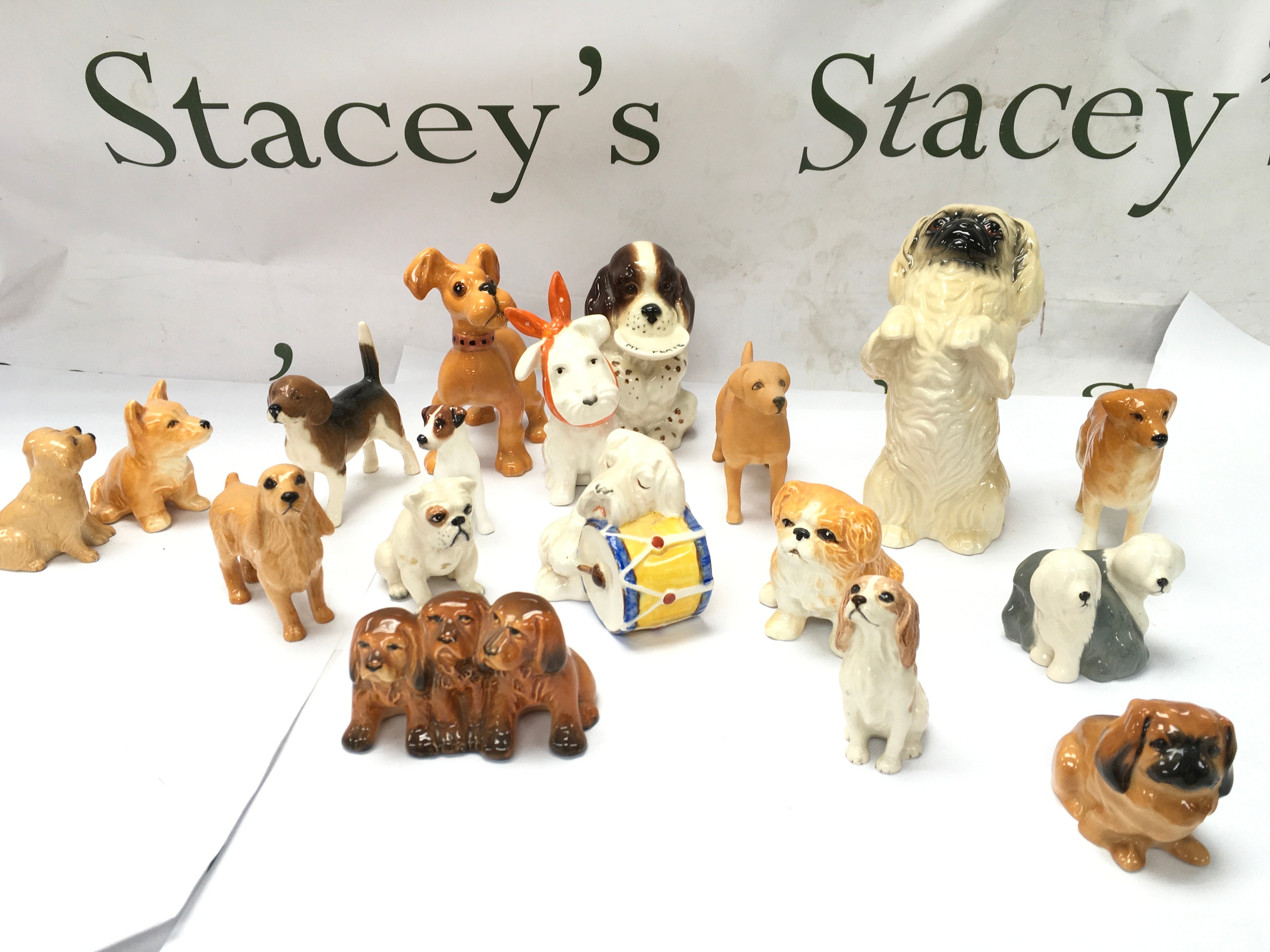 porcelain dog figurines by beswick and Royal Doulton, including various breeds such as spaniels, terriers, pugs, and a white poodle etc.