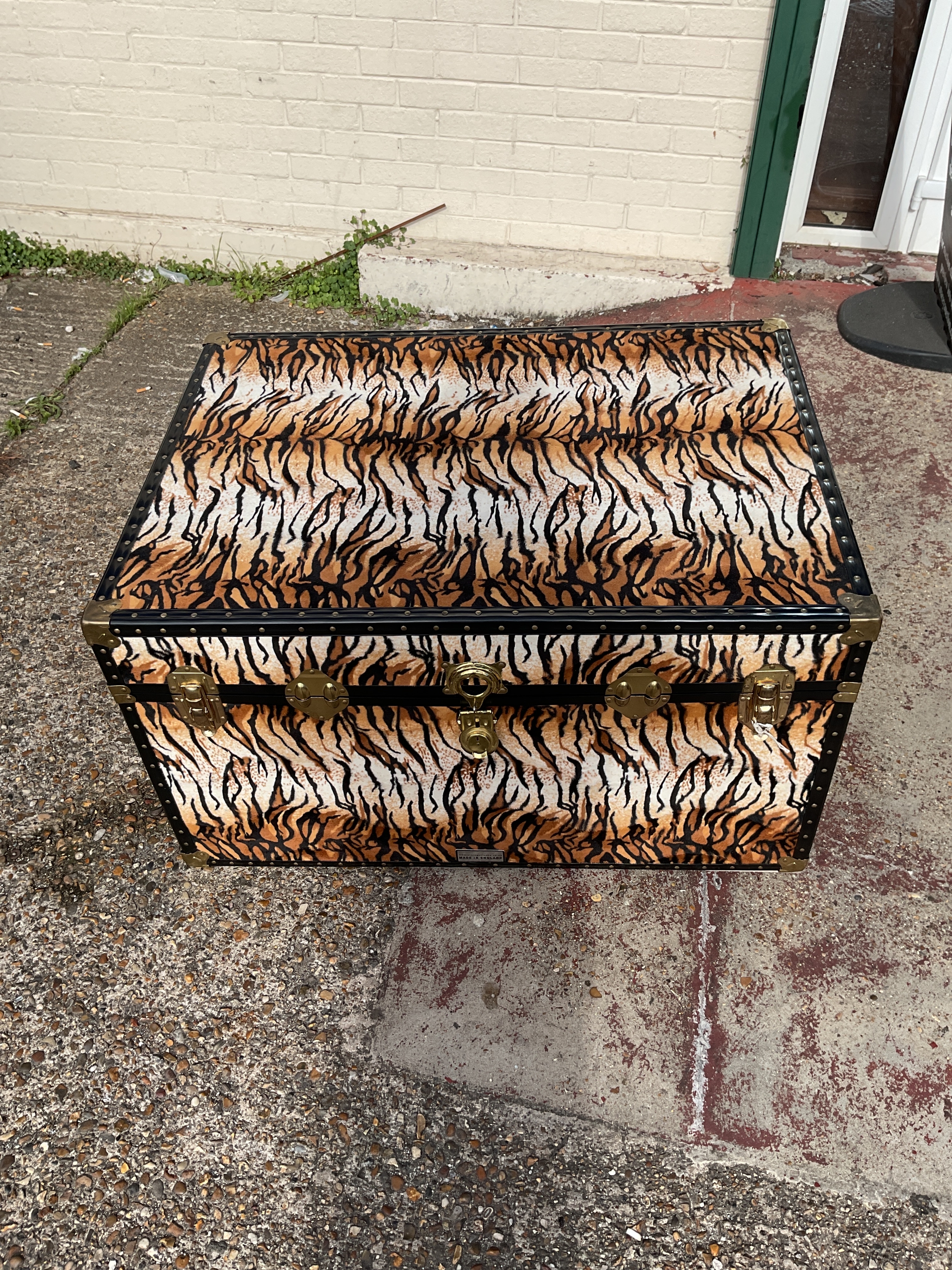 Large furry leopard fur covered trunk.