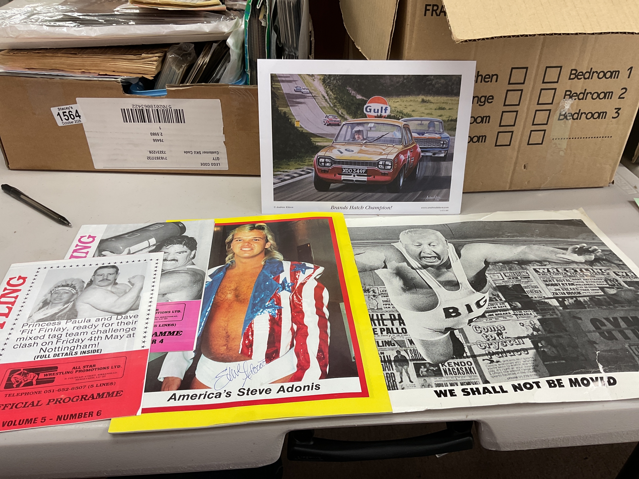 Vintage wrestling items, autographed poster of Big Daddy, and Steve Adonis, along with programmes.