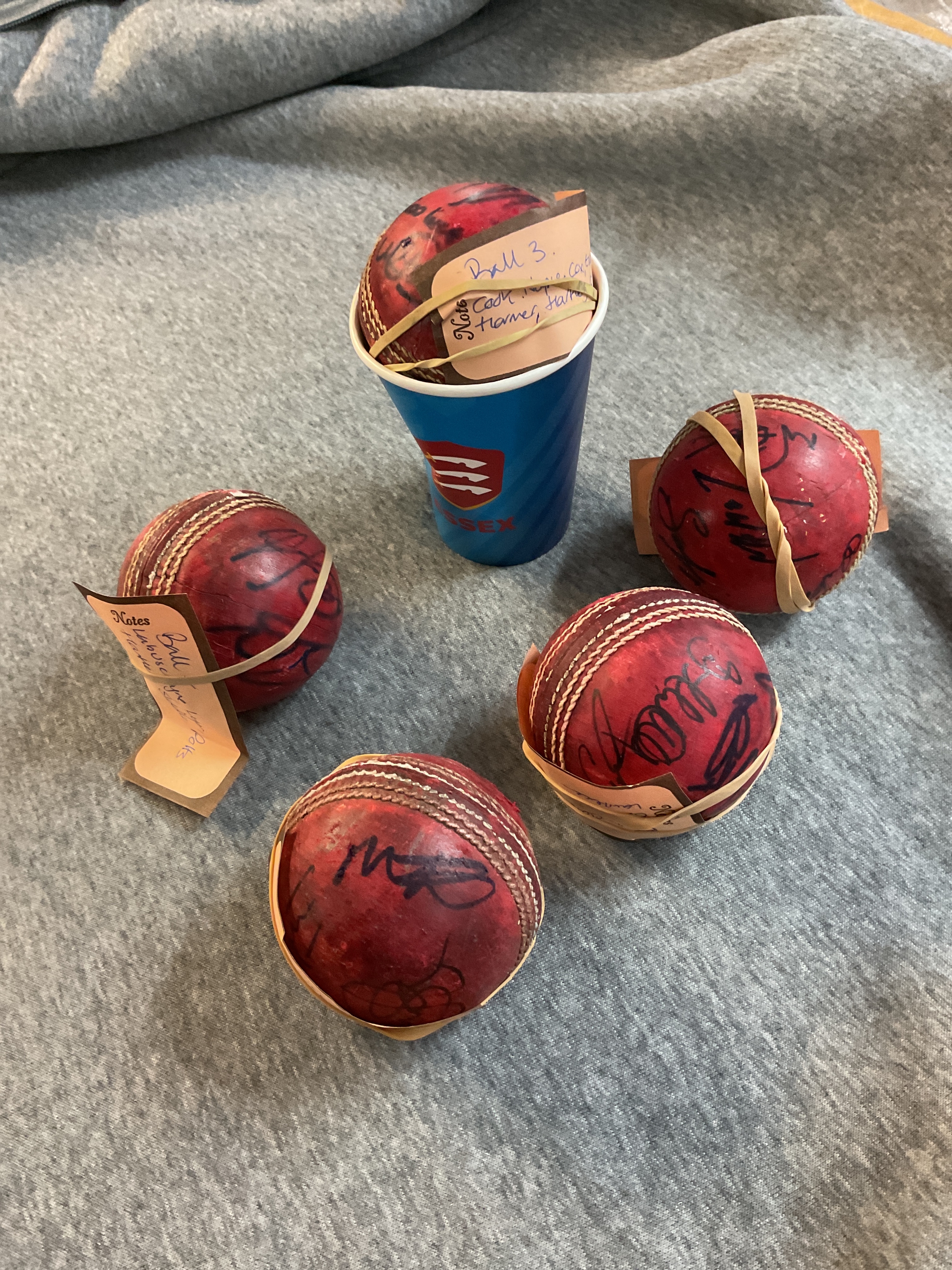 Five signed Cricket balls all signed and used at County matches at Chelmsford ground, see photos for signatures.