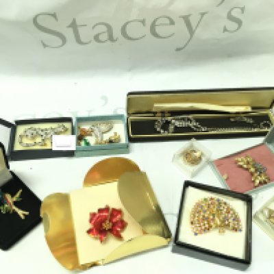 WITHDRAWN - A Collection of costume Jewellery including brooches, silver ring, earrings etc . Postage category b