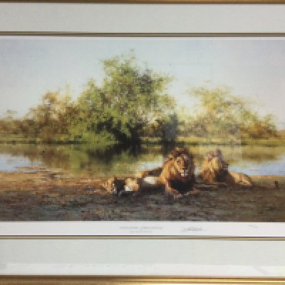 A framed and glazed signed and numbered David Shepherd print 'African Evening - Zambezi Waterhole', approx 82.5cm x 63cm. Shipping category D.