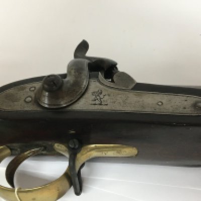 An East India Company Percussion Musket with a steel action and steel round barrel brass fittings and full length stock possibly a pattern F early 19th century.