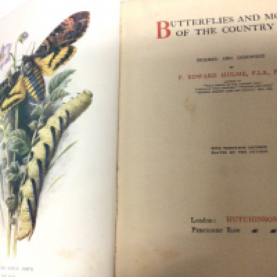 A leather bound book British Birds in there Haunts by the late Rev C Johns eighth edition with numerous coloured illustrations in good condition and Butterflies & Moths of the country side by F Edward Hulme with thirty five coloured plates (2)