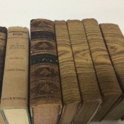 A collection of antique books History of Infusoria Geology of the South East of England 1833 History of the Earth 1822 The Life and service of Viscount Nelson Voyageur en France and others repaired spines.
