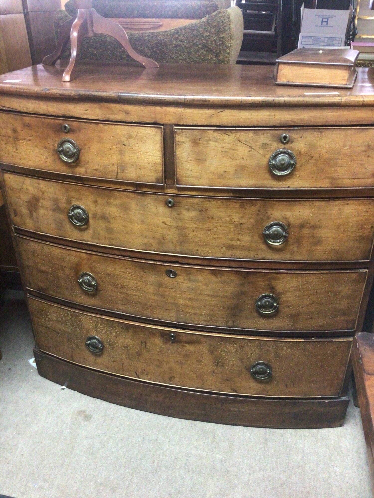 An Early Victorian Mahogany bow fronted chest of drawers fitted with two short and three long drawers on a plinth base. Width 107cm x103cm TO BE SOLD WITHOUT RESERVE