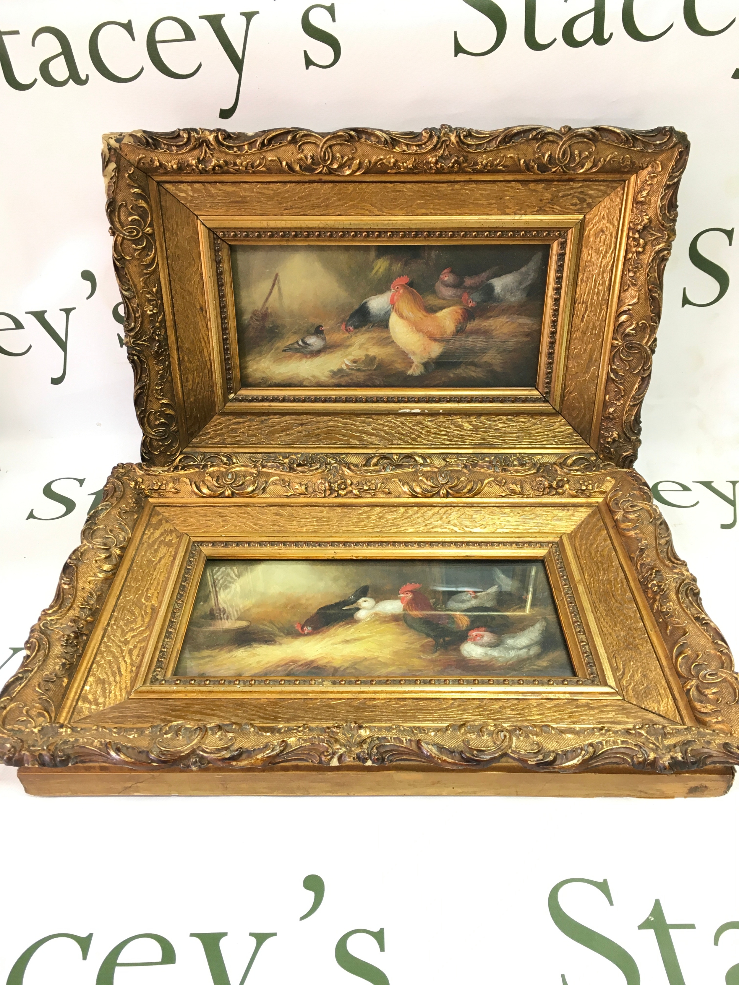 Framed pictures oil paintings featuring chicken and rooster scenes in ornate gold frames.41x21cm dimensions . Dimensions 25x13cm 