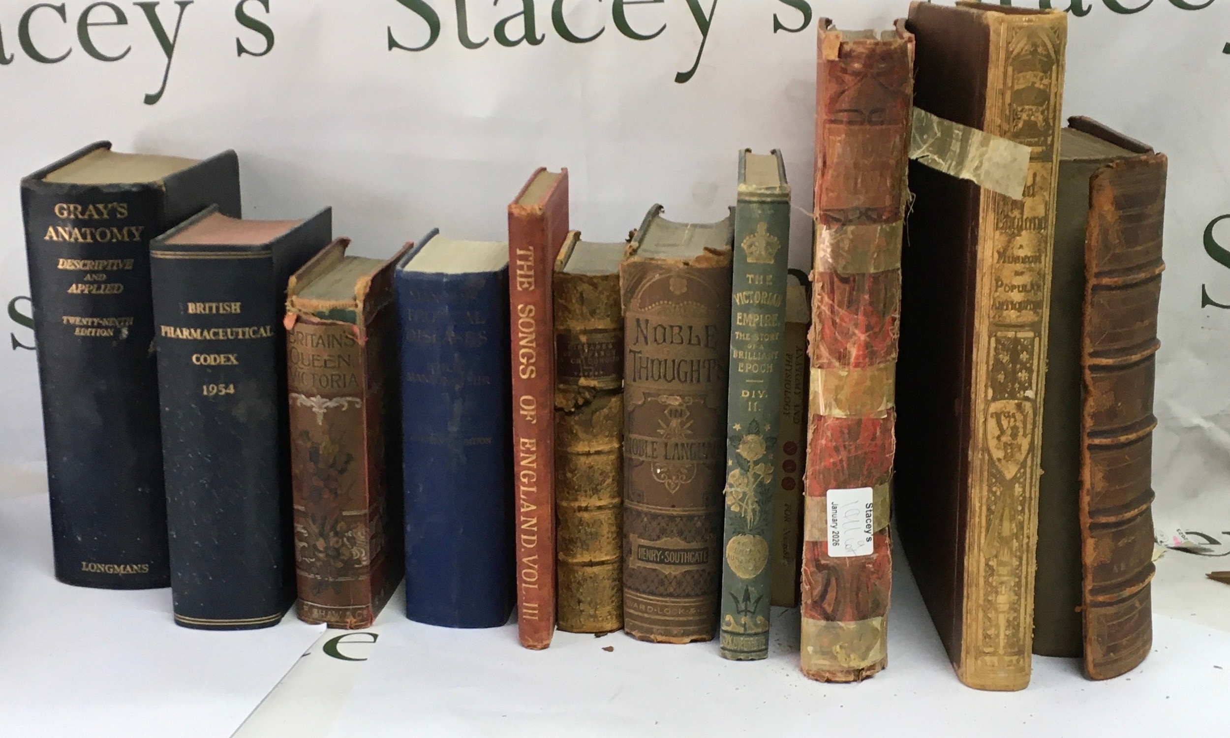 A collection of 12 antique books 
