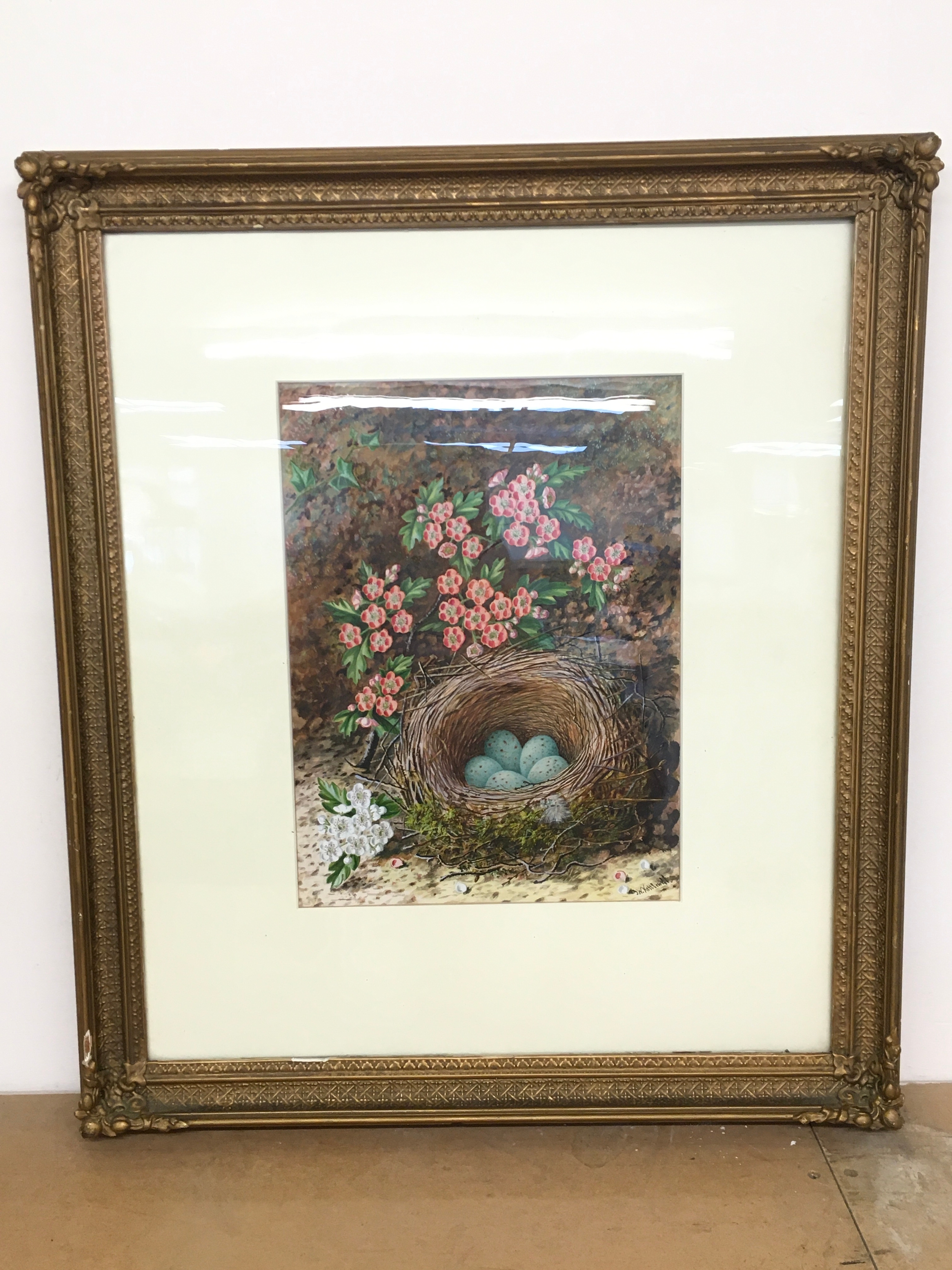 a framed watercolour painting of birds eggs in a nest by John William Kettlewell. Frame 62x54cm picture 25x33cm