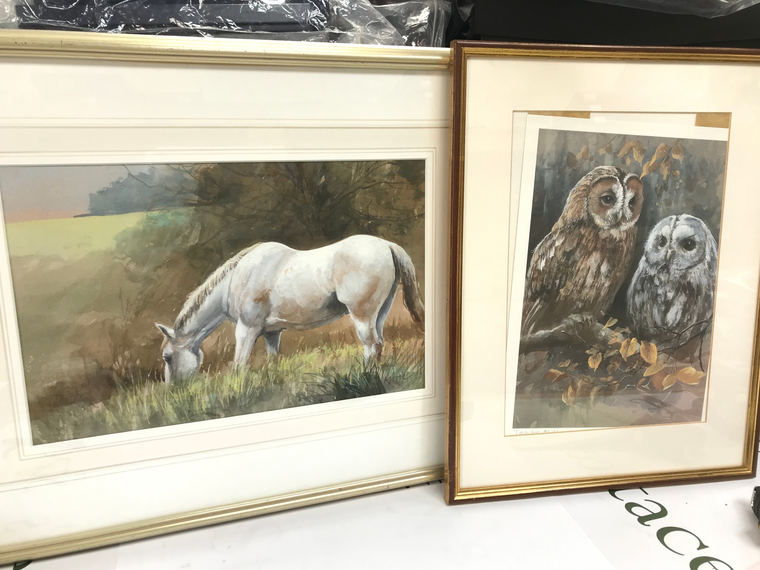 Brian Moore original horse painting and an owl print 35x45cm 56x44cm