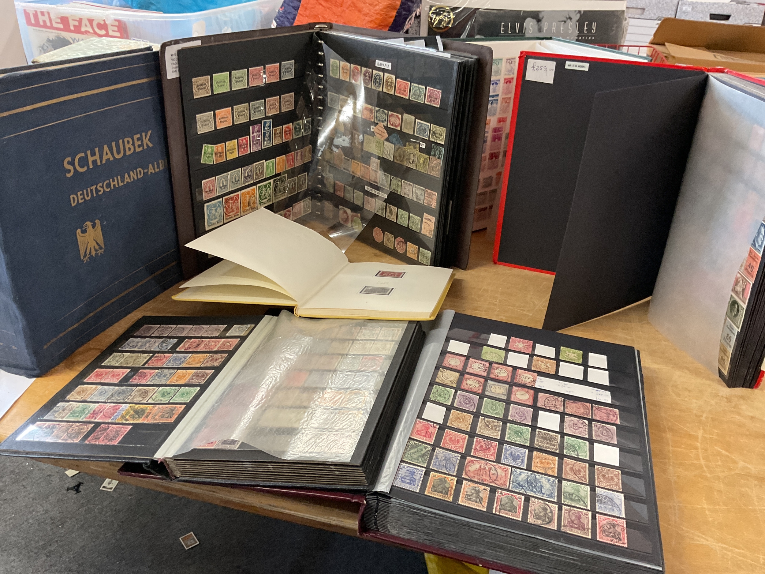 Seven albums of German stamps, well presented and many mint.