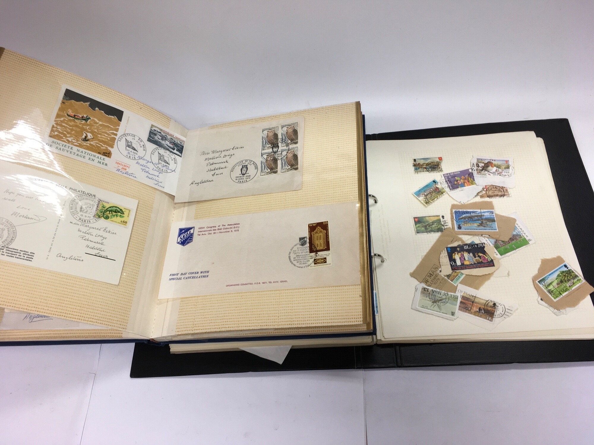 A collection of mixed world stamps including Commonwealth examples. NO RESERVE