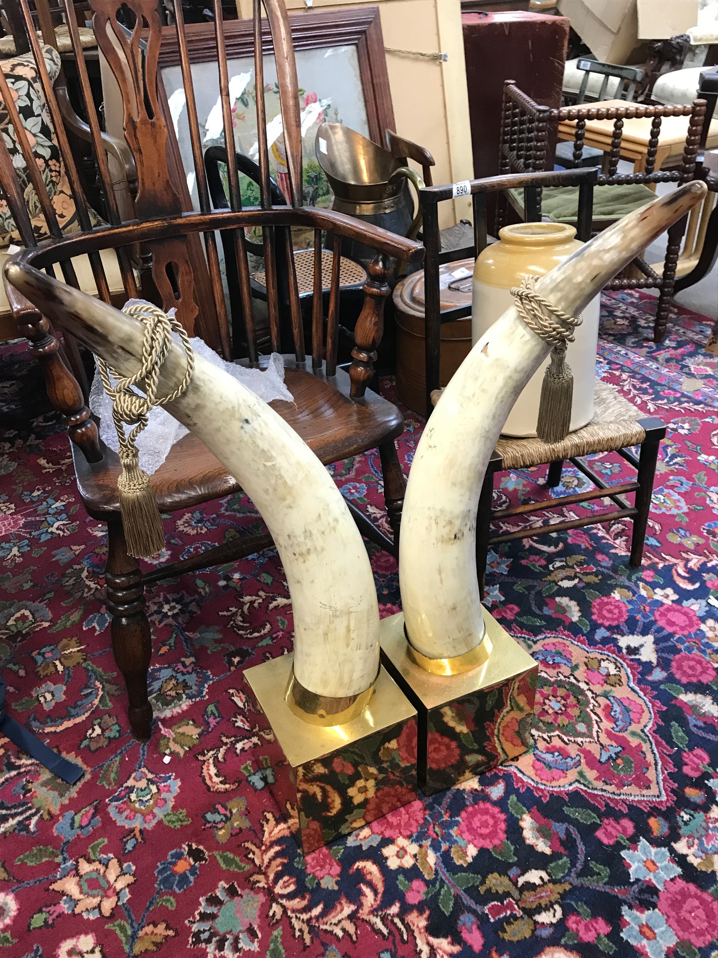 a pair of large horns 82cm tall