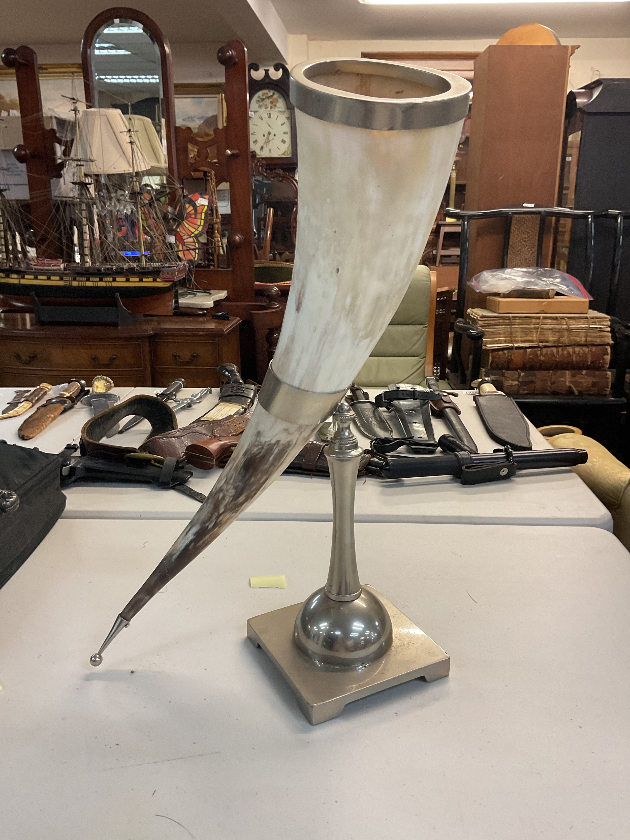 Oryx horn 