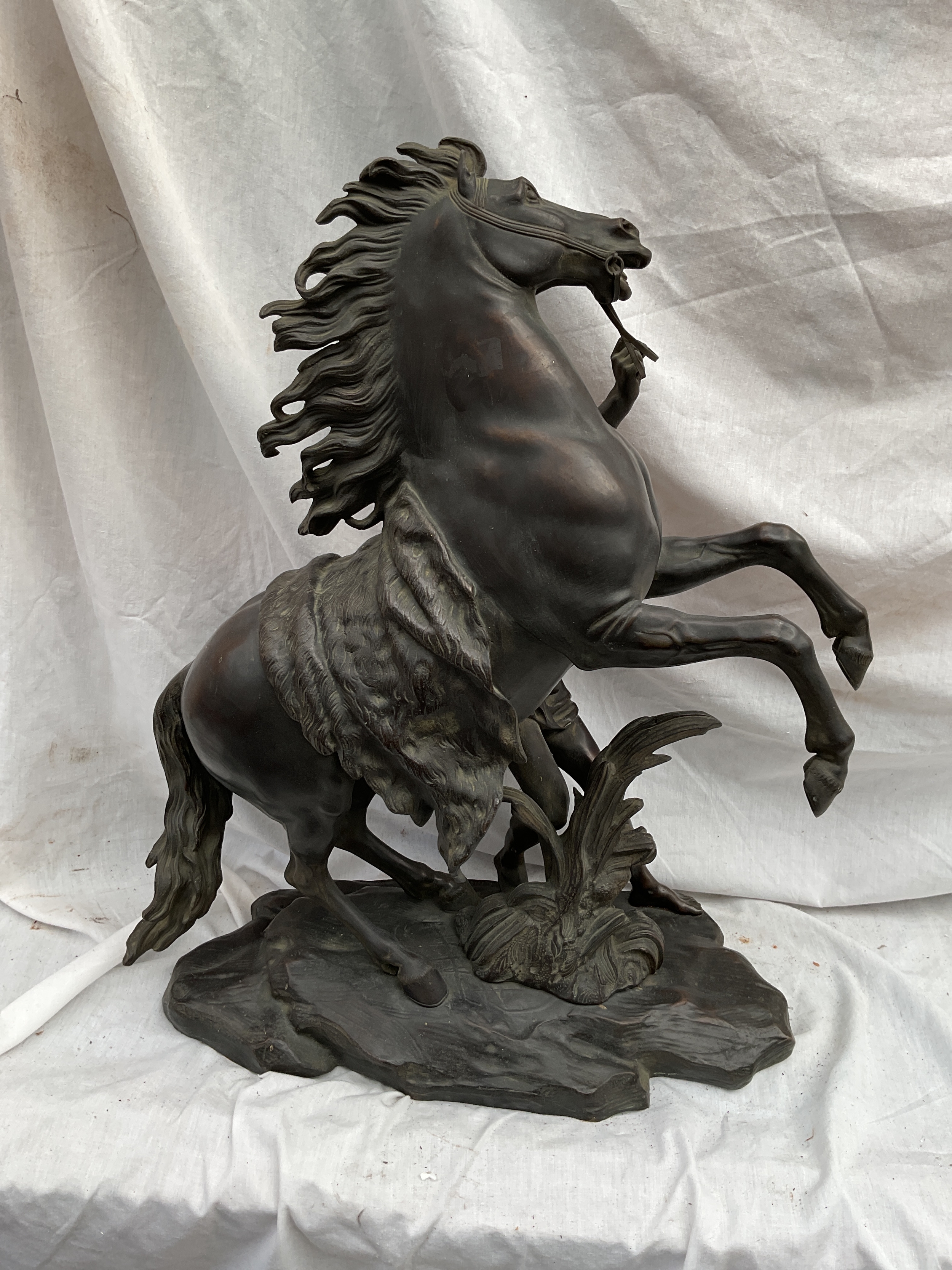 Large Bronze Marly horse after Coustou, very fine detail signed Coustou  H 60 cm.