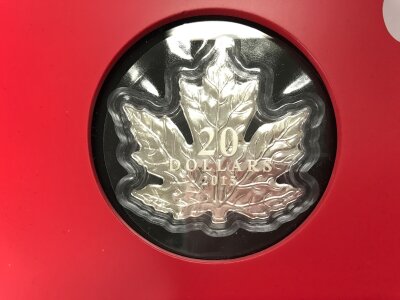 2015 Canada 20 dollar silver maple coin in display.