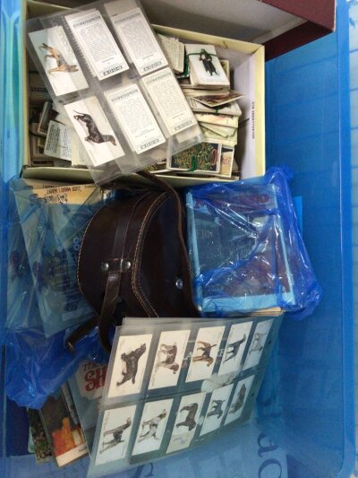 A Plastic tub containing a collection of Cigarette cards postcards a camera.