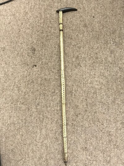 A shark vertebrate walking cane, 80cm tall