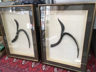 Two framed Cambodian (Khmer) rice cutters.Case dimensions 53cm wide, 74cm tall, 7cm long. No reserve