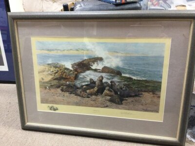 A David Shepard framed print of seals. 80x58cm NO RESERVE
